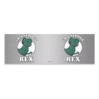 I'm A Nervous Rex Travel Tumbler 27 oz. - Toy Story