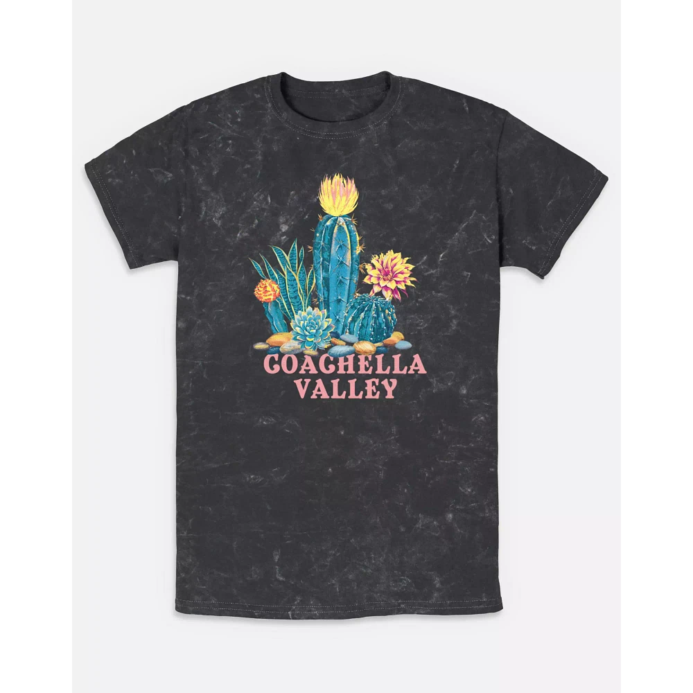 Coachella Valley Washed T Shirt