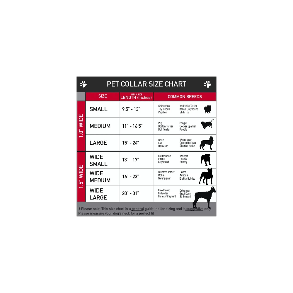 Buckle-Down Barbie Dog Collar