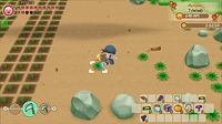 Story of Seasons Friends Mineral Town