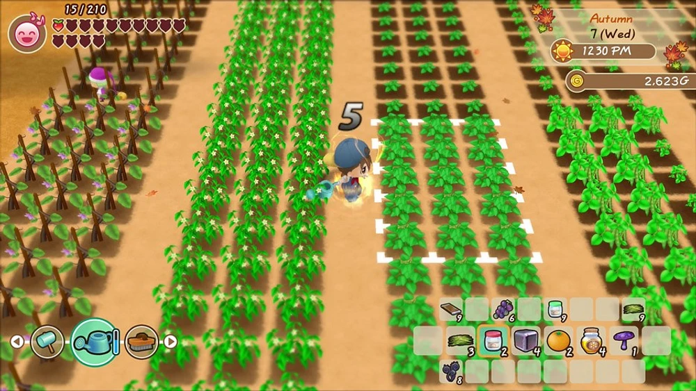 Story of Seasons Friends Mineral Town