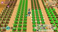 Story of Seasons Friends Mineral Town
