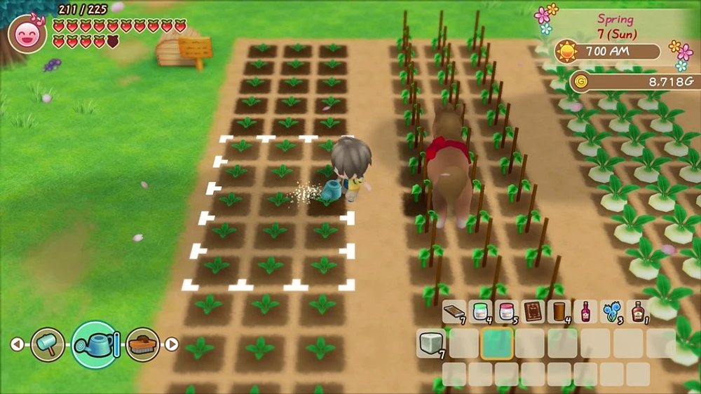 Story of Seasons Friends Mineral Town