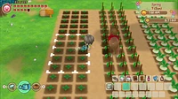 Story of Seasons Friends Mineral Town