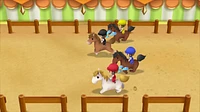 Story of Seasons Friends Mineral Town