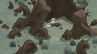 Carto - Numérique