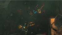 Legend of Zelda Tears of the Kingdom - Digital