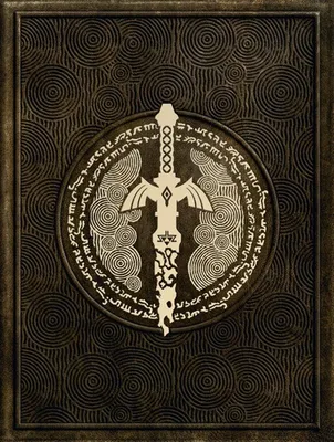 The Legend of Zelda Tears Of The Kingdom Official Guide Collectors Edition | Guide 