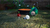 Pikmin 4 - Digital