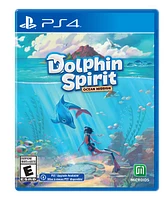 Dolphin Spirit Ocean Mission