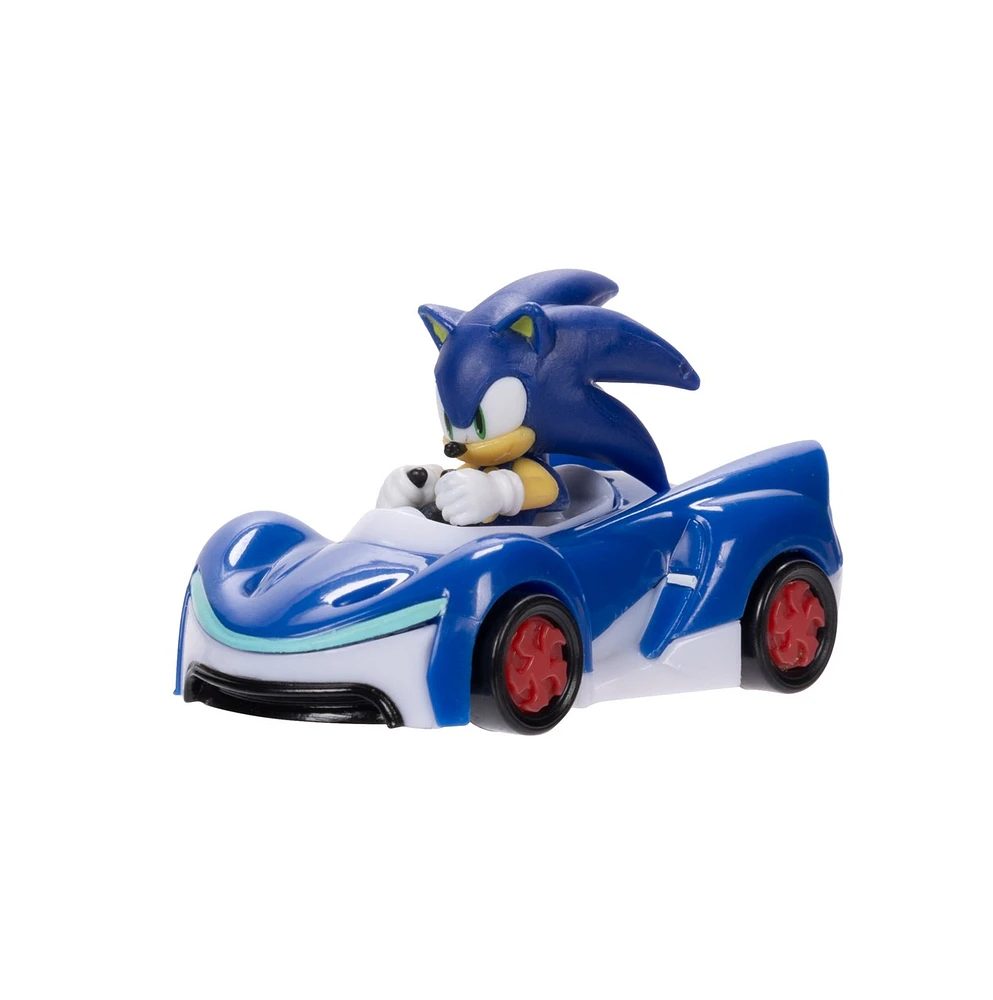 Sonic the Hedgehog 1:64 Die-Cast Vehicle Wave 6 – One Variation Chosen at Random