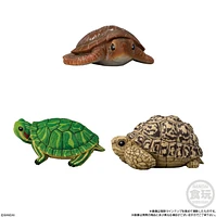 Bandai Tenori Animal Friends Vol11 -Reptiles and Amphibians – One Variation Chosen at Random