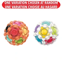 Boule de puzzle rotative Biogenik – Une variation choisie au hasard