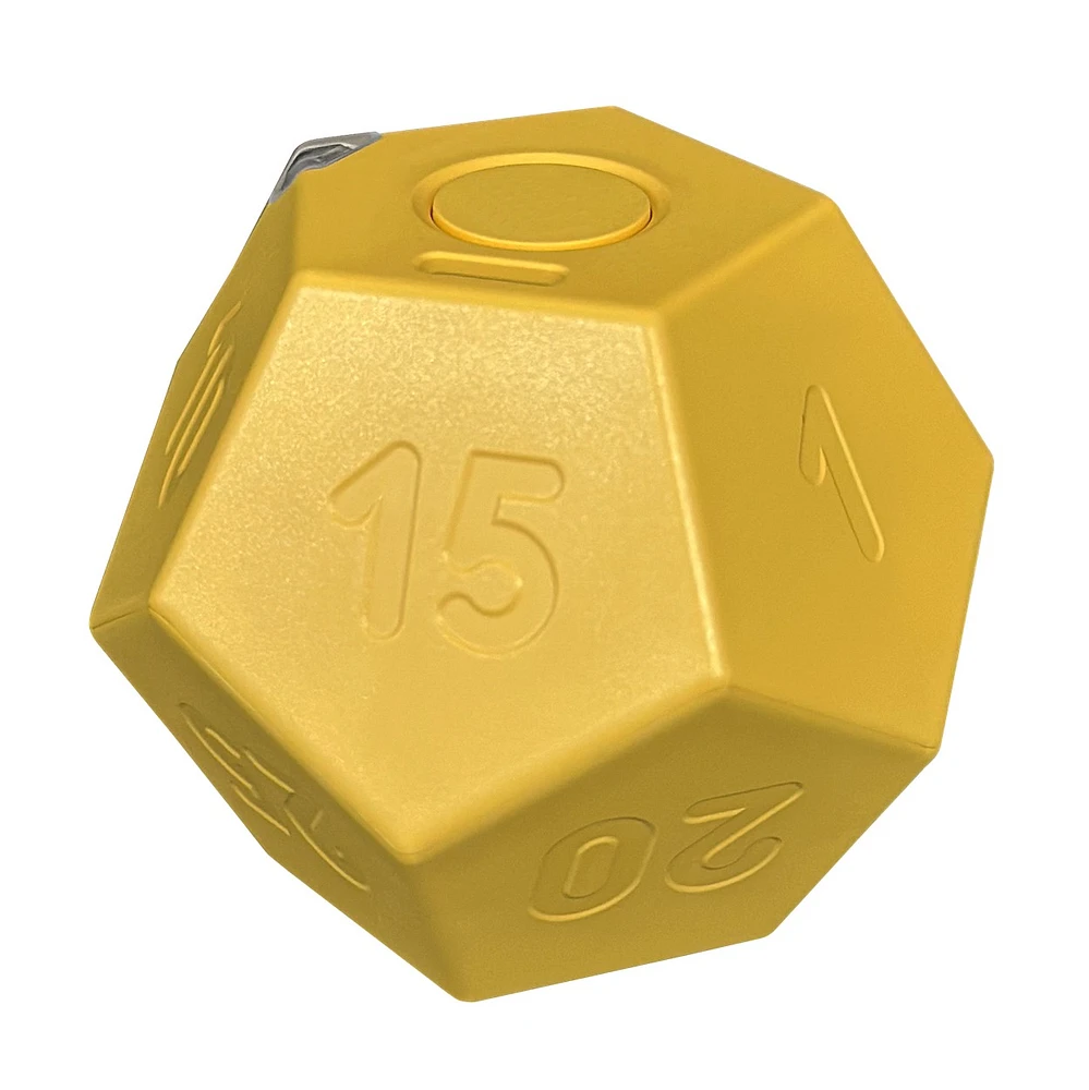 Biogenik Countdown Dodecahedron Timer (D-12) – One Variation Chosen at Random