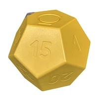 Biogenik Countdown Dodecahedron Timer (D-12) – One Variation Chosen at Random