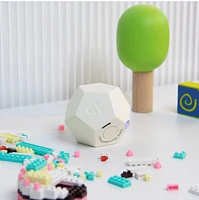 Biogenik Countdown Dodecahedron Timer (D-12) – One Variation Chosen at Random