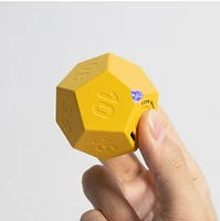 Biogenik Countdown Dodecahedron Timer (D-12) – One Variation Chosen at Random