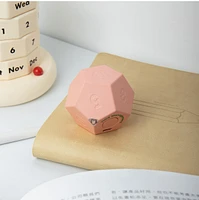 Biogenik Countdown Dodecahedron Timer (D-12) – One Variation Chosen at Random