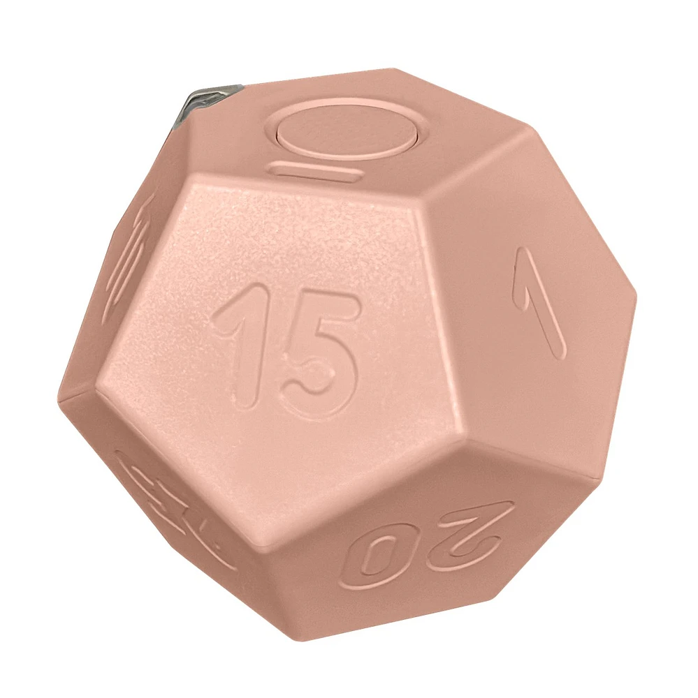 Biogenik Countdown Dodecahedron Timer (D-12) – One Variation Chosen at Random
