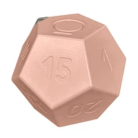 Biogenik Countdown Dodecahedron Timer (D-12) – One Variation Chosen at Random