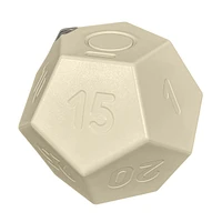 Biogenik Countdown Dodecahedron Timer (D-12) – One Variation Chosen at Random