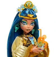 Monster High: Monster Fest Dolls - Assortment – One Variation Chosen at Random