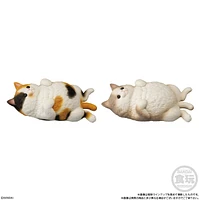 Mocchiri Kororin Cats Bandai Shokugan Mocchiri Kororin – One Variation Chosen at Random