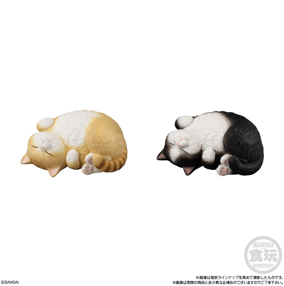 Mocchiri Kororin Cats Bandai Shokugan Mocchiri Kororin – One Variation Chosen at Random