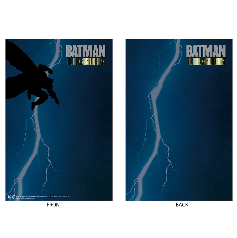 DC Multiverse Batman (The Dark Knight Returns) Gold Label 7in Action Figure McFarlane Cover Recreations