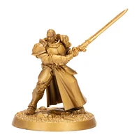 Warhammer 40K: Warhammer Heroes - Storm cast Eternals Blind box – One Variation Chosen at Random