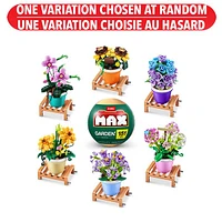 Max Garden Collection – Une variation choisie au hasard