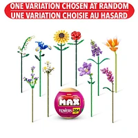 Max Flowers Collection – Une variation choisie au hasard
