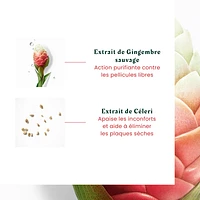 Rene Furterer - Neopur - Shampooing Cuir Chevelu Gras
