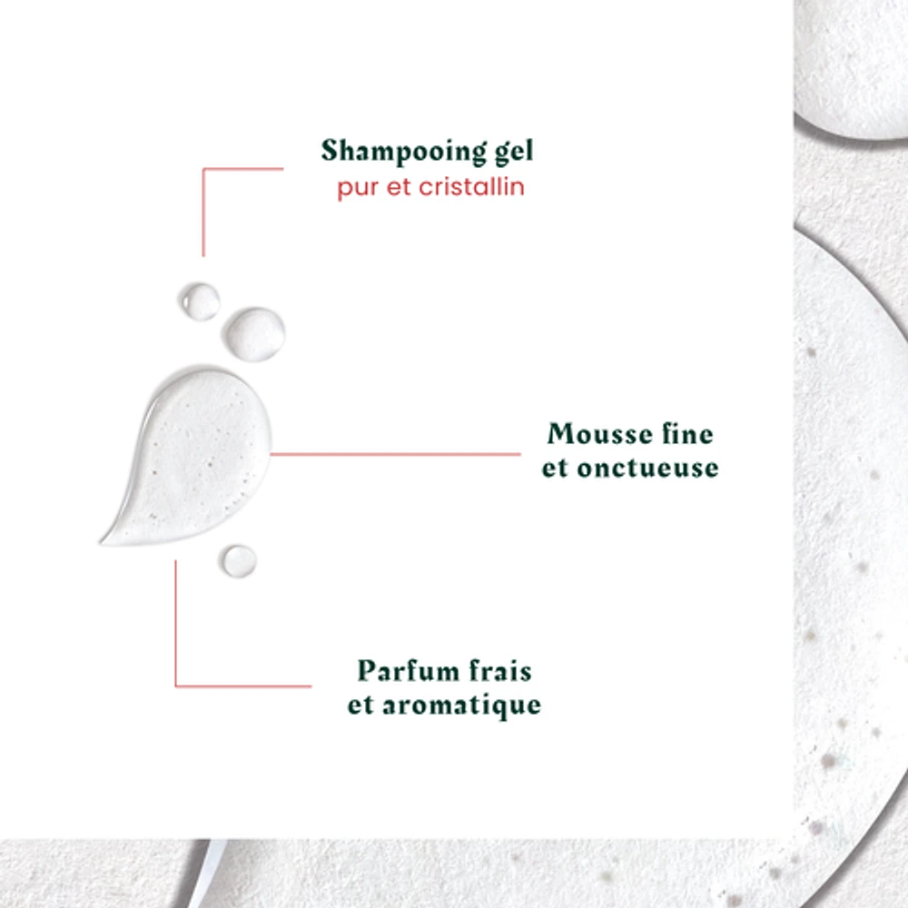Rene Furterer - Neopur - Shampooing Cuir Chevelu Gras