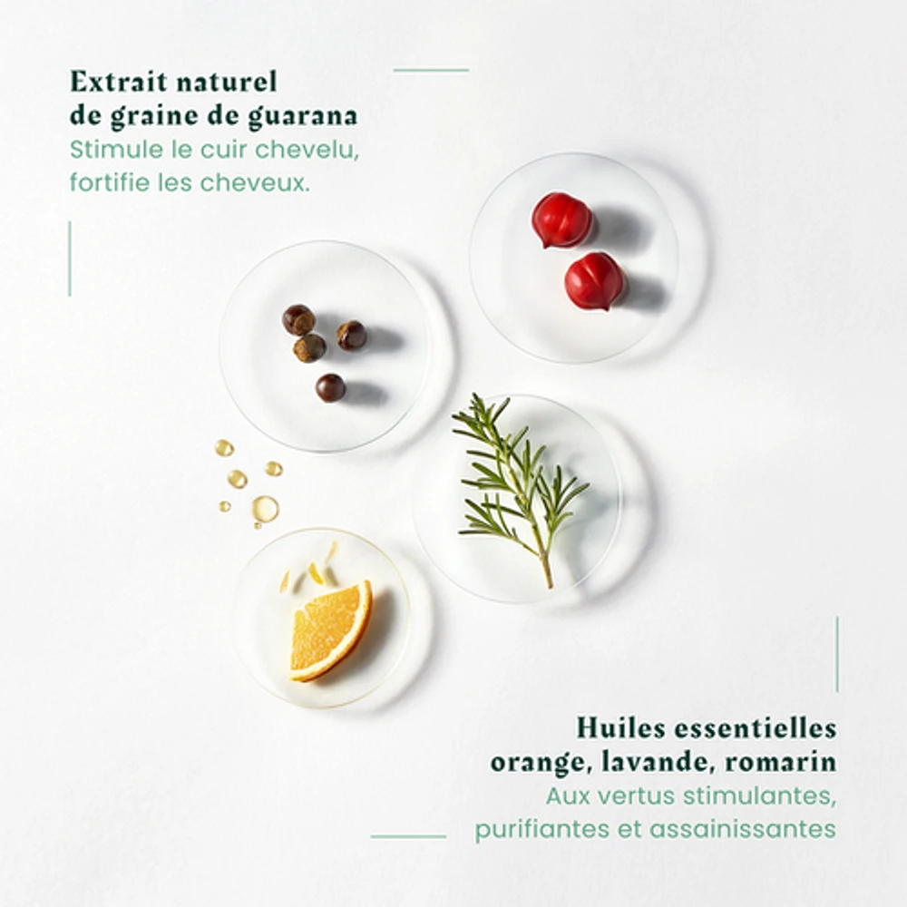 Rene Furterer - Forticea - Coffret des Fêtes 2024