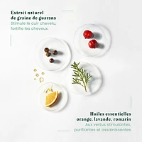 Rene Furterer - Forticea - Coffret des Fêtes 2024