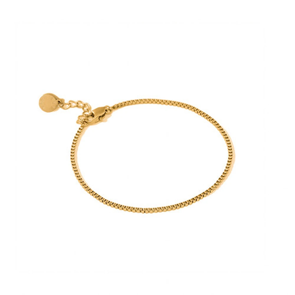 Gold Thin Box Chain Bracelet