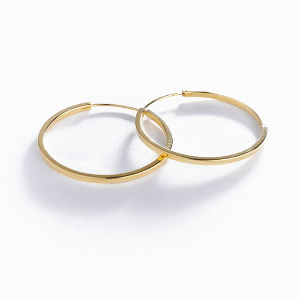 Basic Gold Hoops
