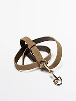Ceinture équestre en croûte de cuir