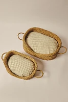 PANIER ANIMAL DE COMPAGNIE