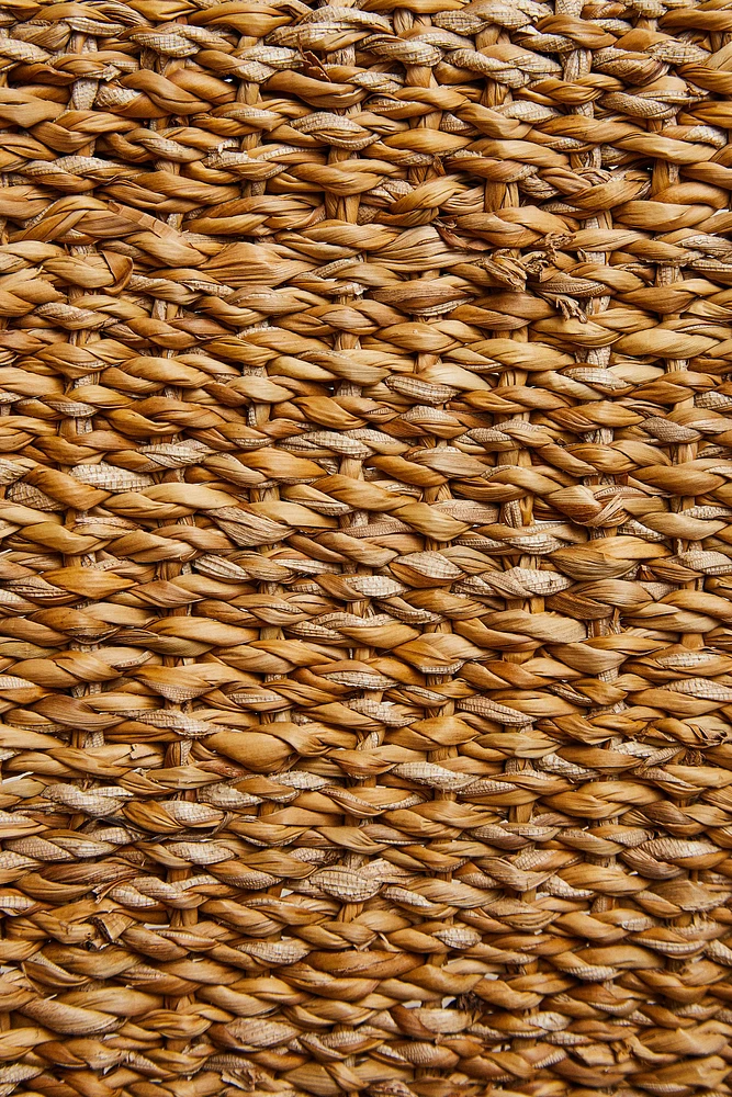 PANIER ANIMAL DE COMPAGNIE