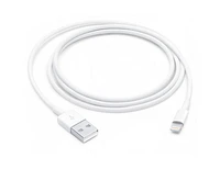 Lightning to USB Cable (1 m)
