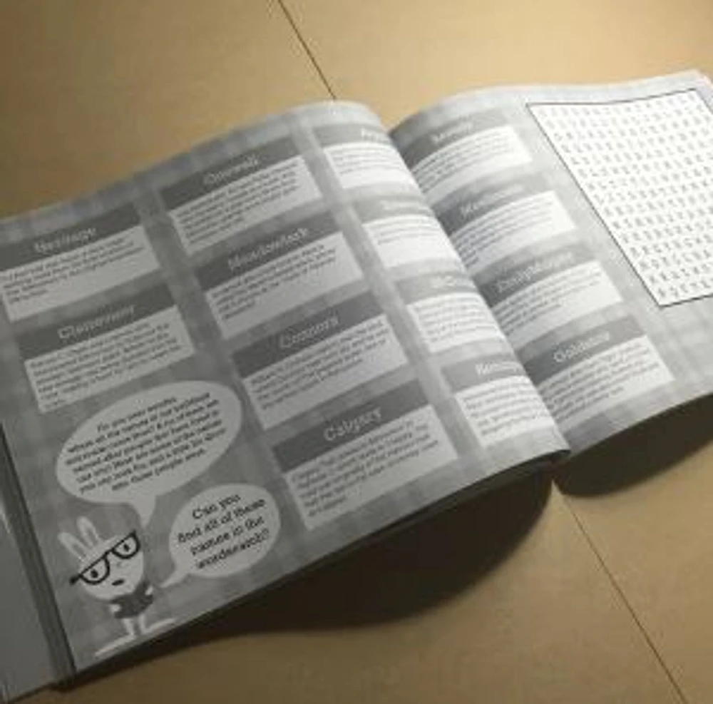 Hello #YEG Activity Book - Snow Alligator