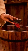 Toothless Tail Soap