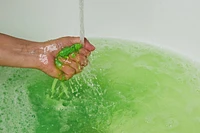 Green Bubbleroon