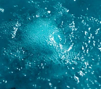 Big Blue | Bath Bomb