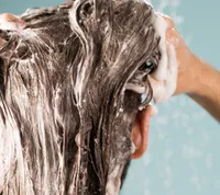 Big | Sea Salt Volumising Shampoo & Shine