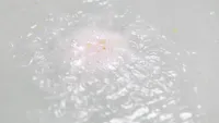Butterball Bath Bomb