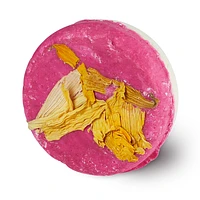 Coconut Rice Cake Shampoo Bar