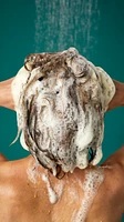 Ginger Shampoo